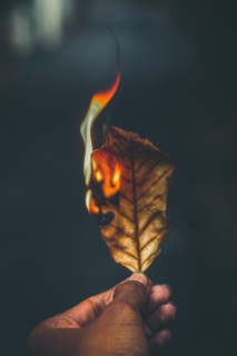 A leaf on fire depicting someone experiencing burnout from work and home imbalance